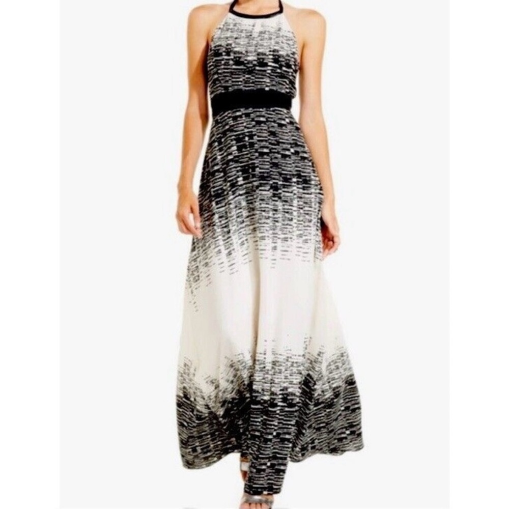 Black and White Maxi Dress - Vince Camato